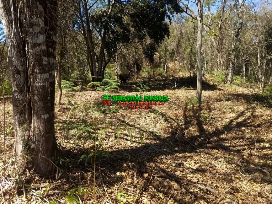 Foto 3 de Sítio / Rancho à venda, 30000m2 em Centro, Monteiro Lobato - SP