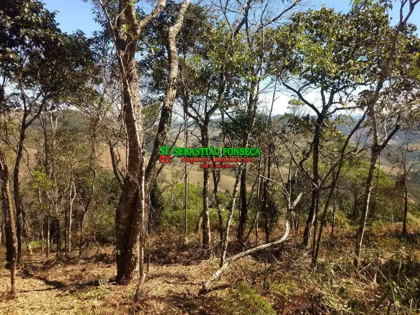 Foto 9 de Sítio / Rancho à venda, 30000m2 em Centro, Monteiro Lobato - SP