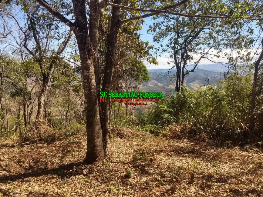 Foto 6 de Sítio / Rancho à venda, 30000m2 em Centro, Monteiro Lobato - SP