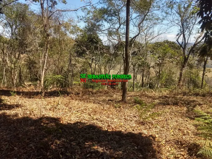 Foto 4 de Sítio / Rancho à venda, 30000m2 em Centro, Monteiro Lobato - SP