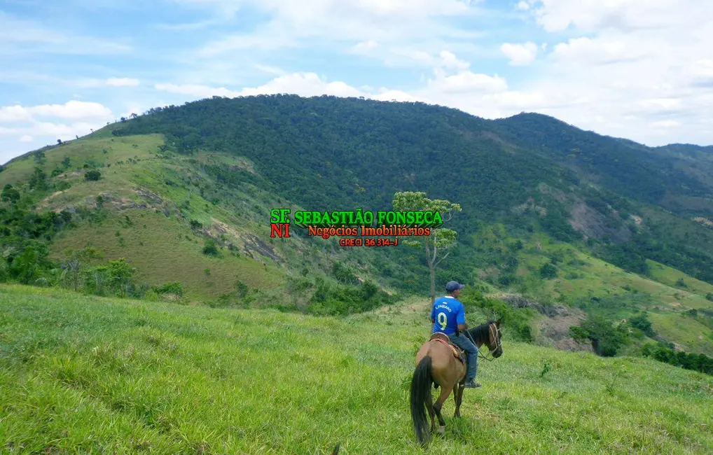 Fazenda / Haras com 4 quartos à venda, 180m2 em Barra Do Pirai - RJ - imagem 9 Foto 9 de Fazenda / Haras com 4 quartos à venda, 180m2 em Barra Do Pirai - RJ