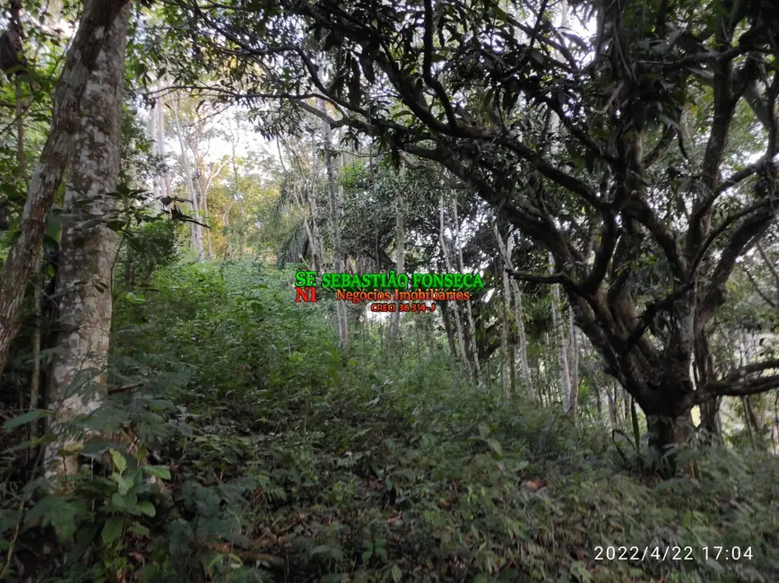 Foto 35 de Chácara à venda, 15000m2 em Jambeiro - SP