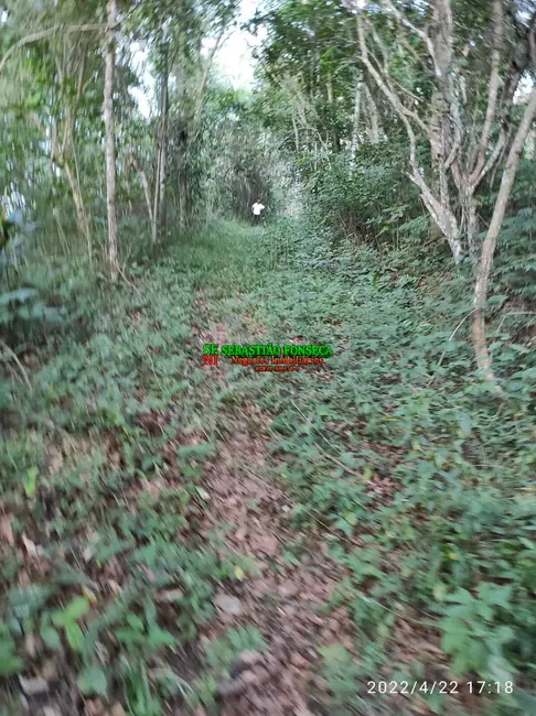 Foto 30 de Chácara à venda, 15000m2 em Jambeiro - SP