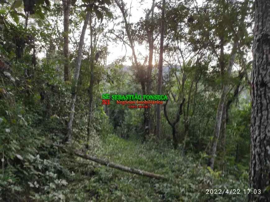 Foto 38 de Chácara à venda, 15000m2 em Jambeiro - SP