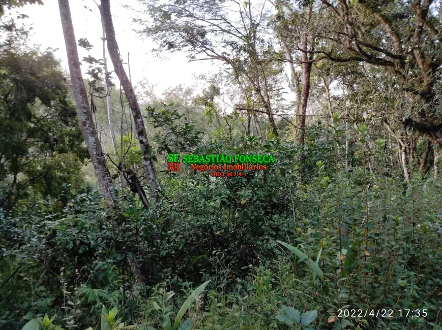 Foto 23 de Chácara à venda, 15000m2 em Jambeiro - SP