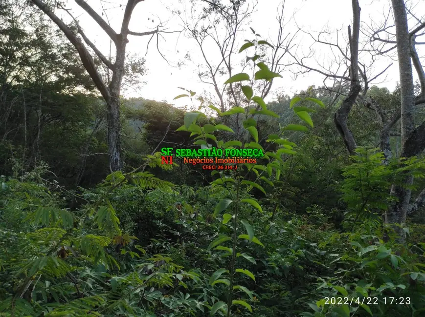 Foto 34 de Chácara à venda, 15000m2 em Jambeiro - SP