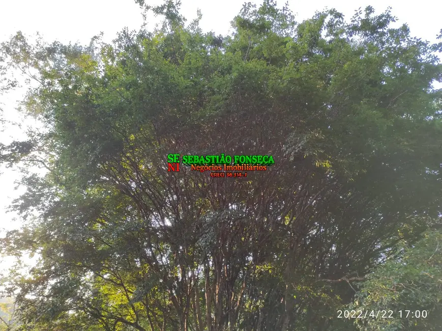 Foto 46 de Chácara à venda, 15000m2 em Jambeiro - SP