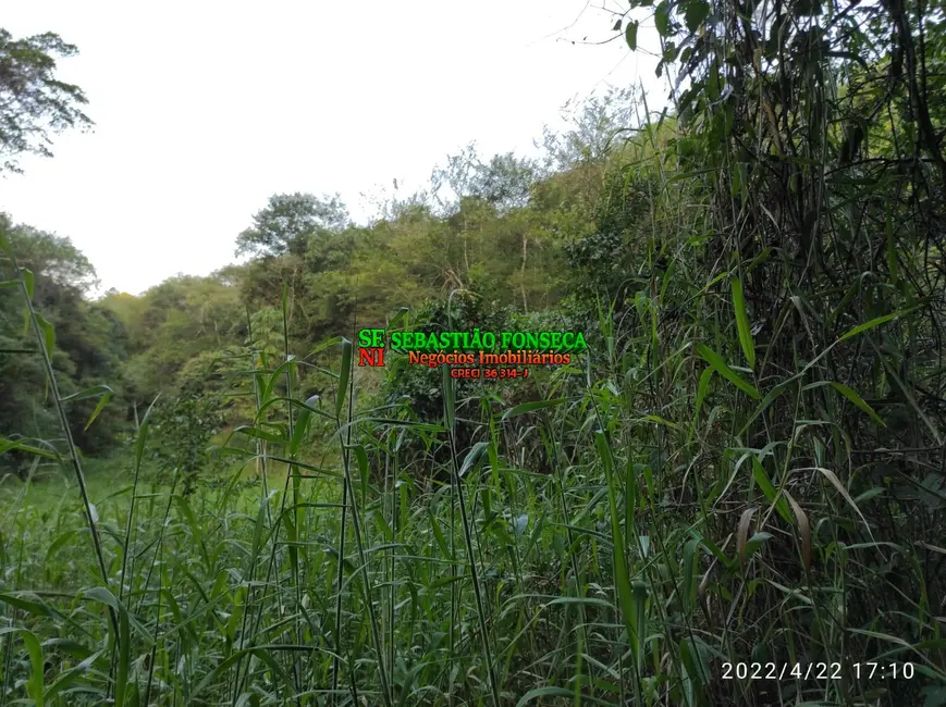 Foto 31 de Chácara à venda, 15000m2 em Jambeiro - SP