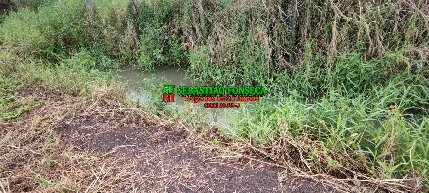 Foto 6 de Terreno / Lote à venda, 60000m2 em Centro, Pindamonhangaba - SP