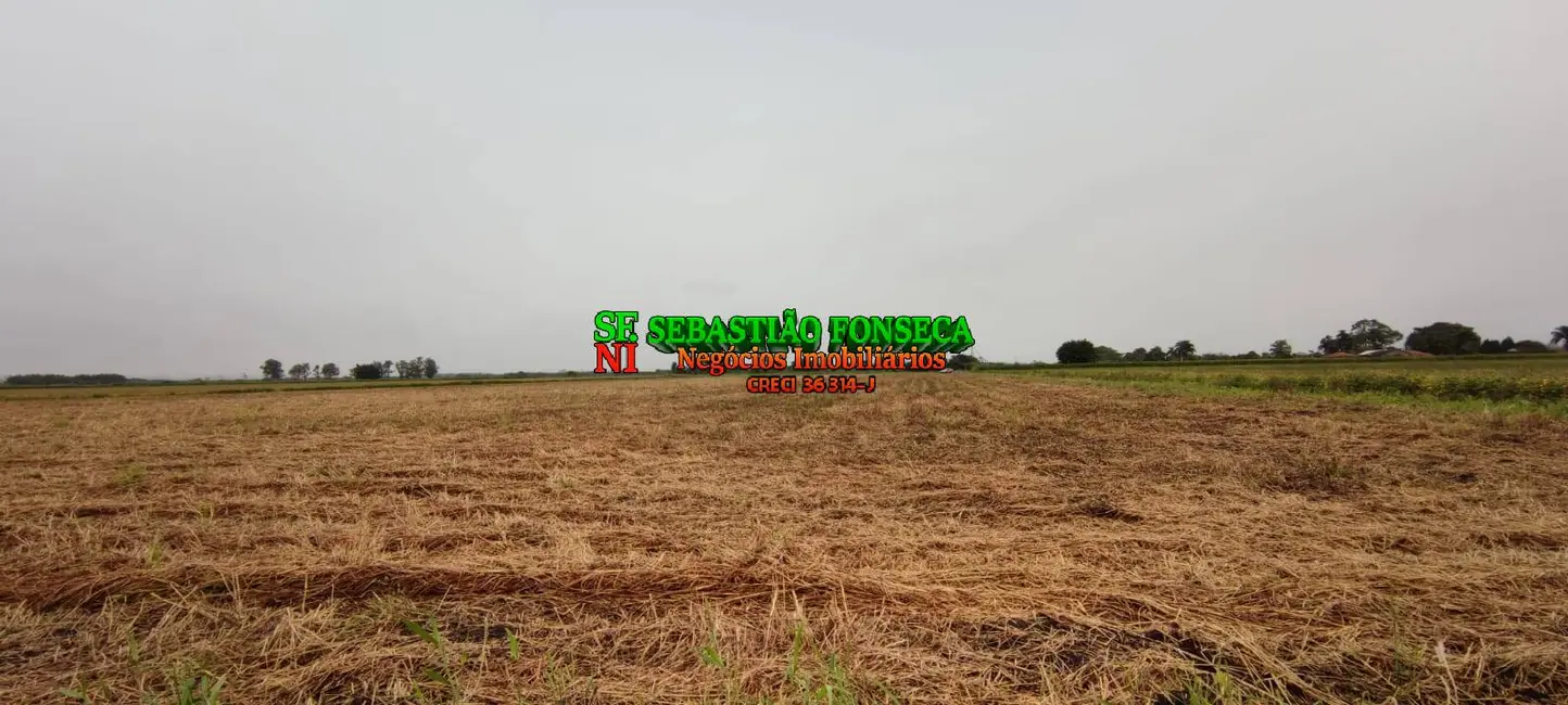 Foto 4 de Terreno / Lote à venda, 60000m2 em Centro, Pindamonhangaba - SP