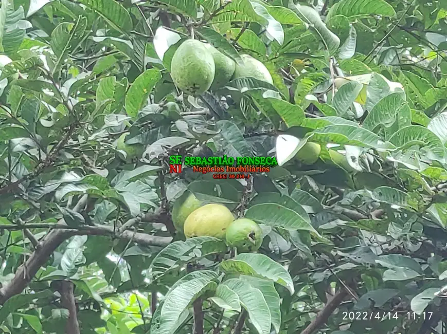 Foto 5 de Sítio / Rancho à venda, 26m2 em Redencao Da Serra - SP