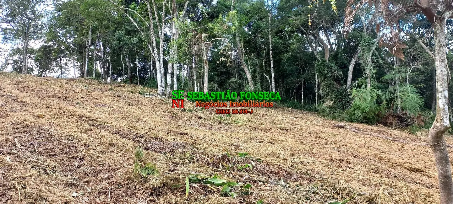 Foto 3 de Sítio / Rancho à venda, 30000m2 em Centro, Monteiro Lobato - SP