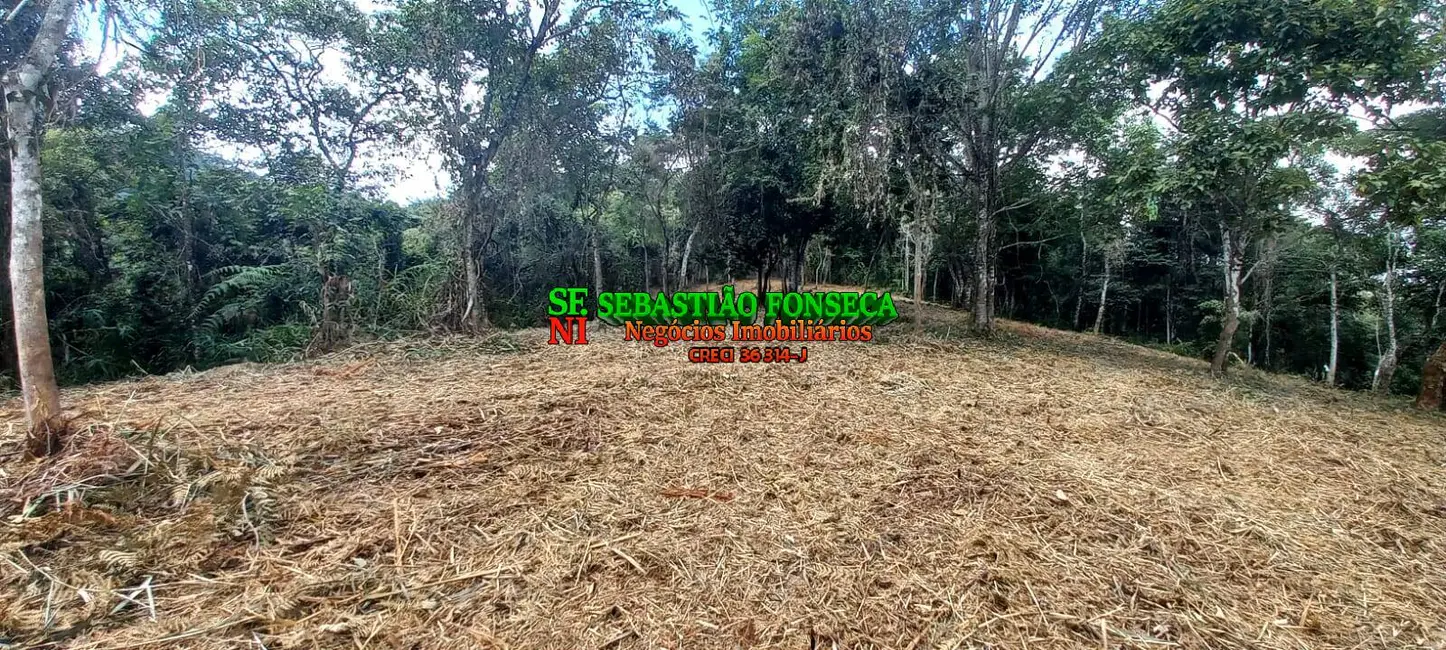 Foto 7 de Sítio / Rancho à venda, 30000m2 em Centro, Monteiro Lobato - SP