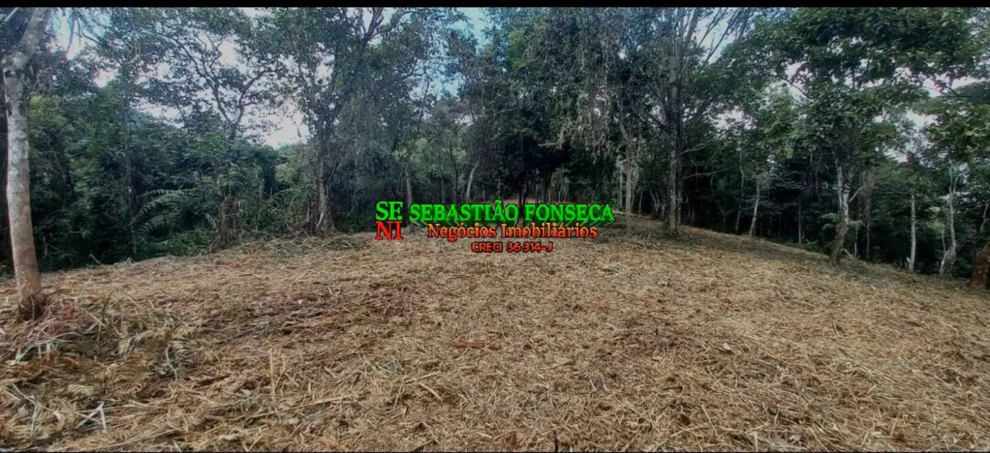 Foto 8 de Sítio / Rancho à venda, 30000m2 em Centro, Monteiro Lobato - SP