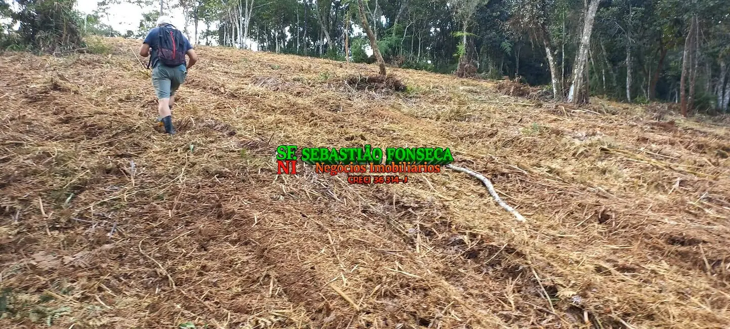 Foto 9 de Sítio / Rancho à venda, 30000m2 em Centro, Monteiro Lobato - SP