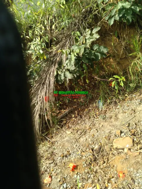 Foto 8 de Sítio / Rancho à venda, 20000m2 em Sao Jose Dos Campos - SP