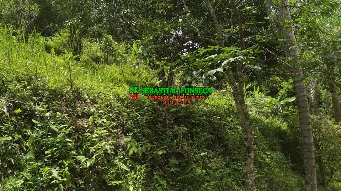 Foto 7 de Chácara com 3 quartos à venda, 5000m2 em Jambeiro - SP