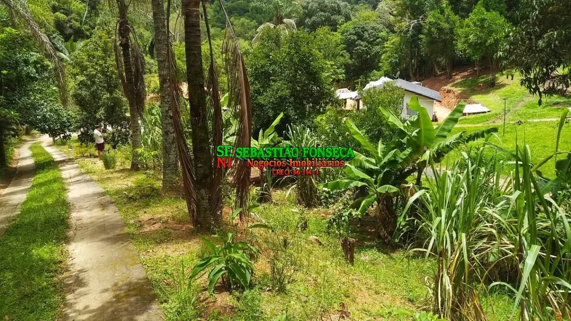 Foto 3 de Chácara com 3 quartos à venda, 5000m2 em Jambeiro - SP
