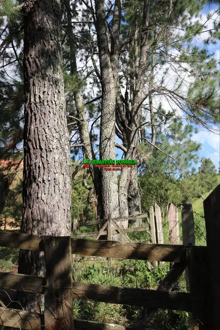 Foto 5 de Chácara com 3 quartos à venda, 20000m2 em Sao Jose Dos Campos - SP