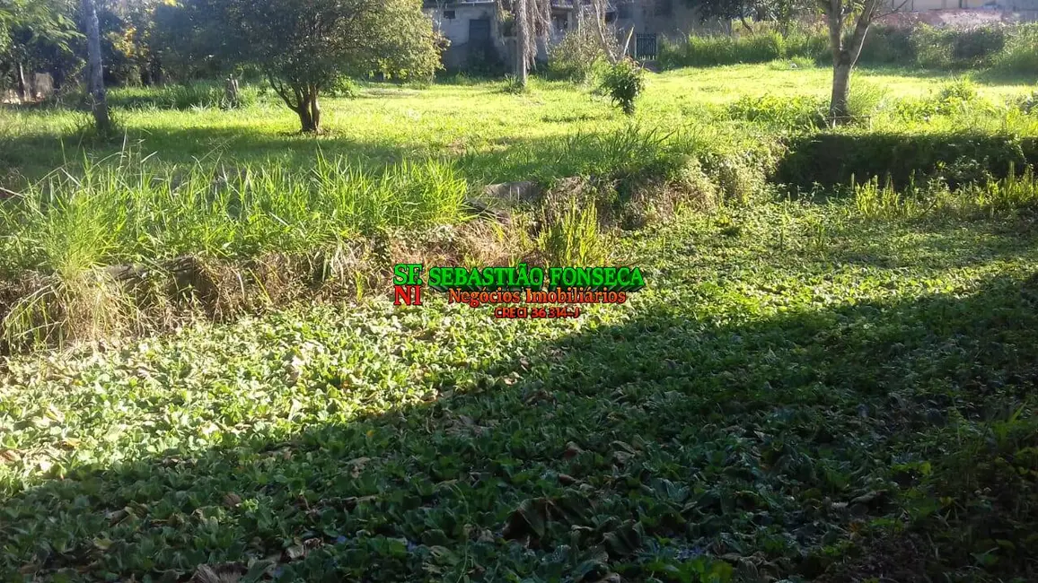 Foto 6 de Sítio / Rancho com 3 quartos à venda, 9m2 em Jambeiro - SP