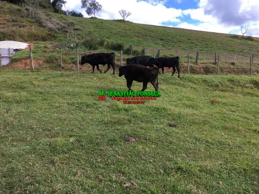 Foto 5 de Fazenda / Haras à venda, 40m2 em Centro, Sao Luiz Do Paraitinga - SP