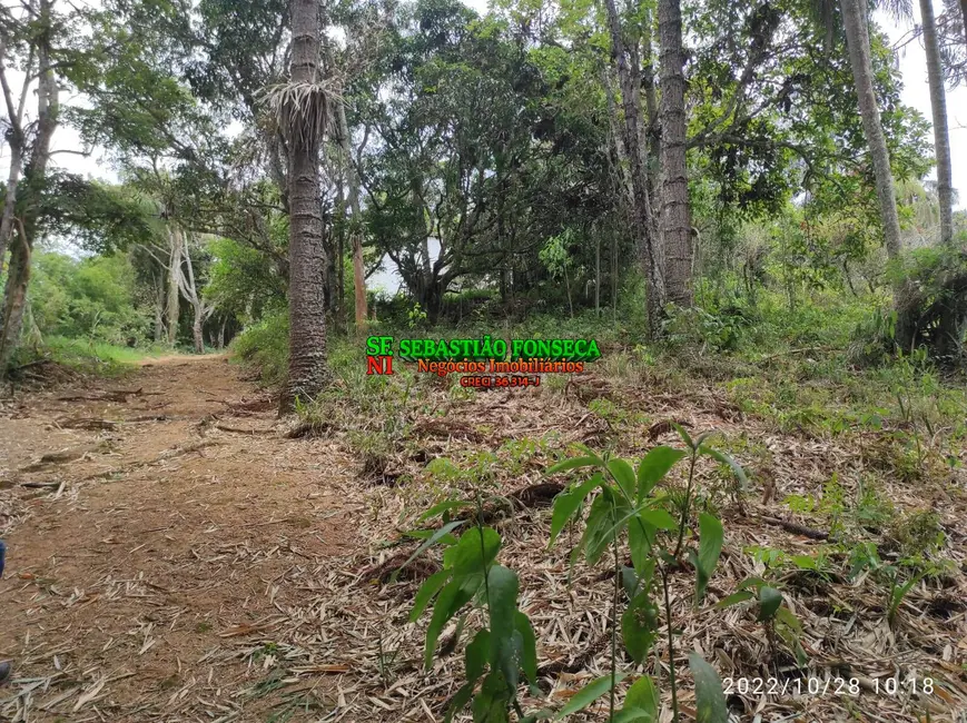 Foto 38 de Chácara à venda, 35362m2 em Jambeiro - SP