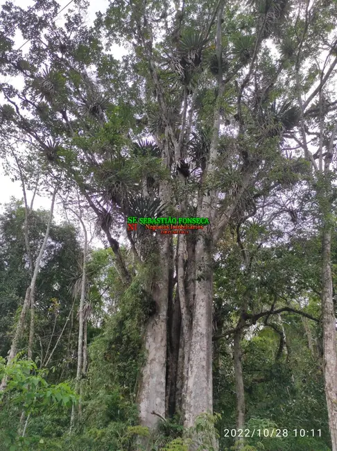 Foto 43 de Chácara à venda, 35362m2 em Jambeiro - SP