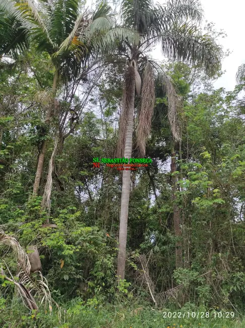 Foto 19 de Chácara à venda, 35362m2 em Jambeiro - SP