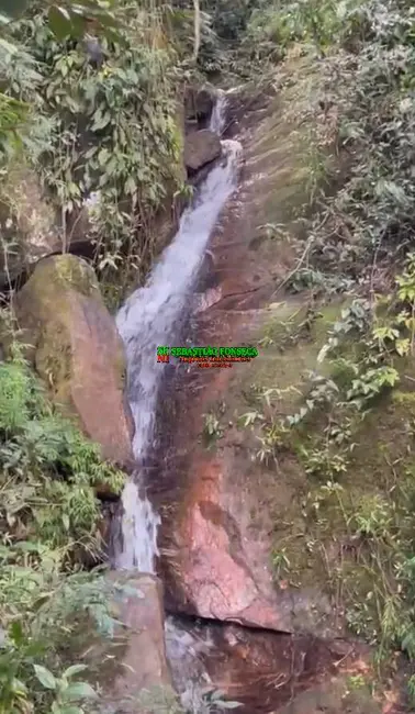 Foto 1 de Sítio / Rancho à venda, 15m2 em Centro, Delfim Moreira - MG