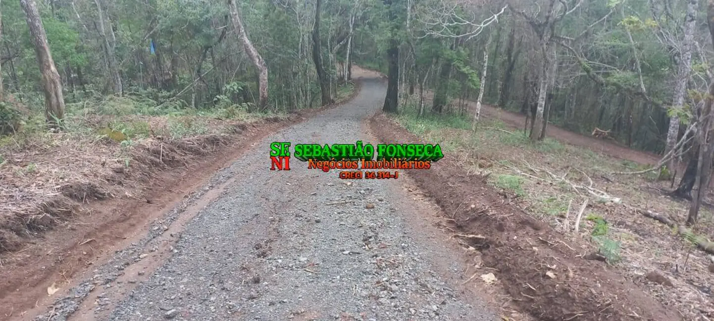 Foto 4 de Sítio / Rancho à venda, 30000m2 em Centro, Monteiro Lobato - SP