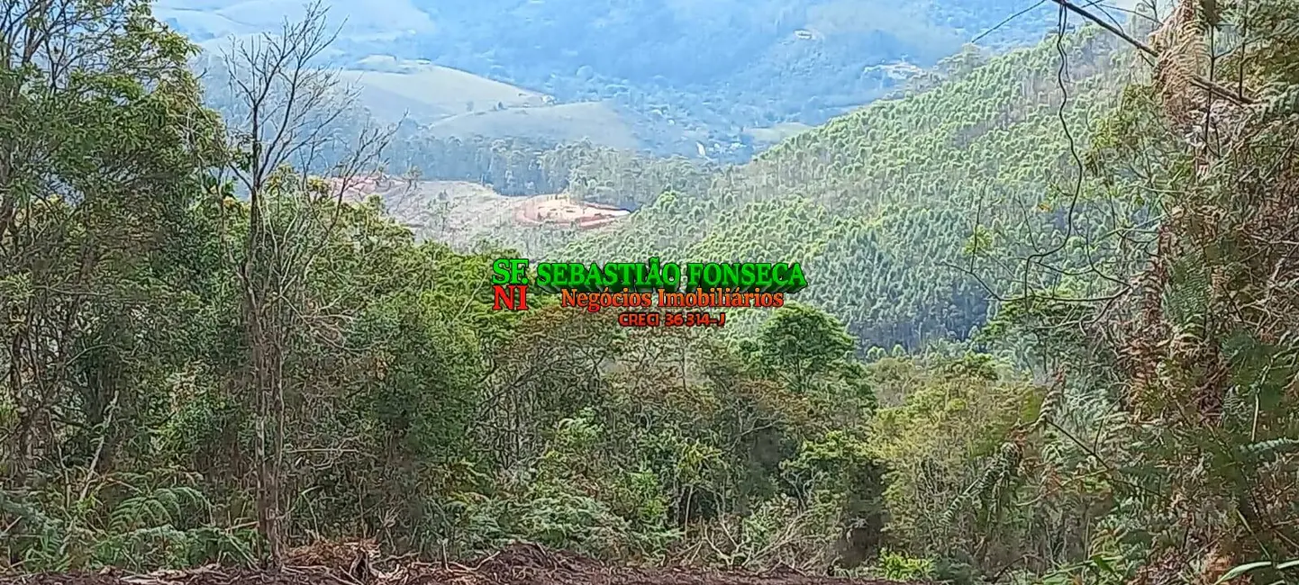 Foto 8 de Sítio / Rancho à venda, 20000m2 em Centro, Monteiro Lobato - SP