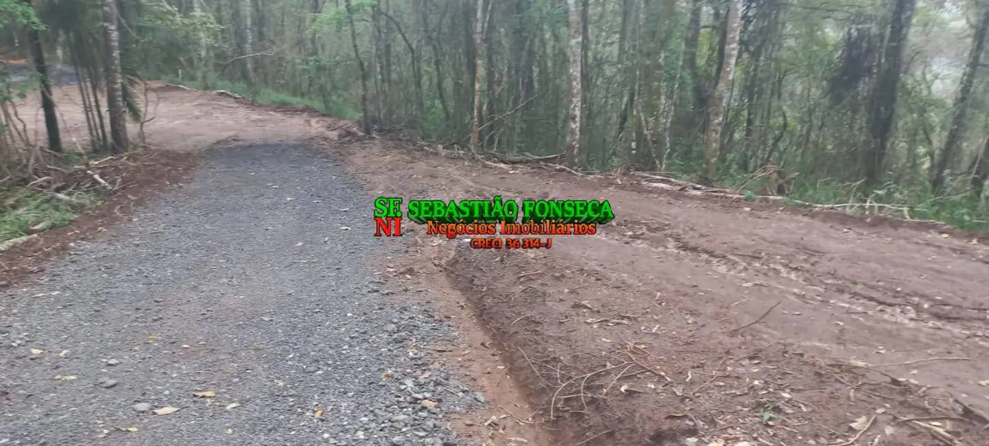 Foto 9 de Sítio / Rancho à venda, 20000m2 em Centro, Monteiro Lobato - SP