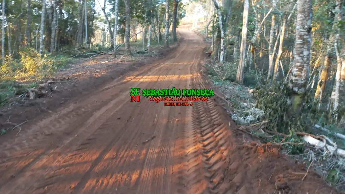 Foto 3 de Sítio / Rancho à venda, 20000m2 em Centro, Monteiro Lobato - SP