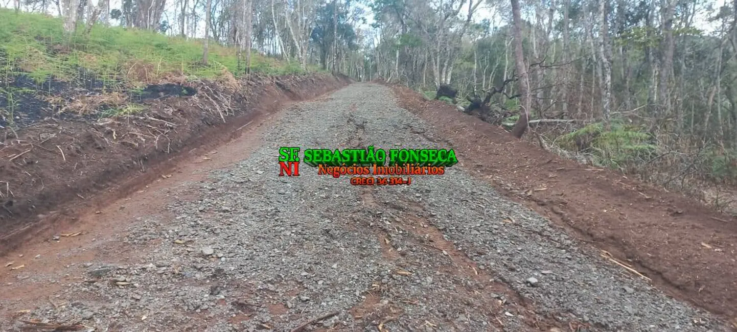 Foto 7 de Sítio / Rancho à venda, 20000m2 em Centro, Monteiro Lobato - SP