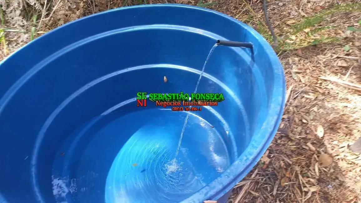 Foto 6 de Sítio / Rancho à venda, 20000m2 em Centro, Monteiro Lobato - SP