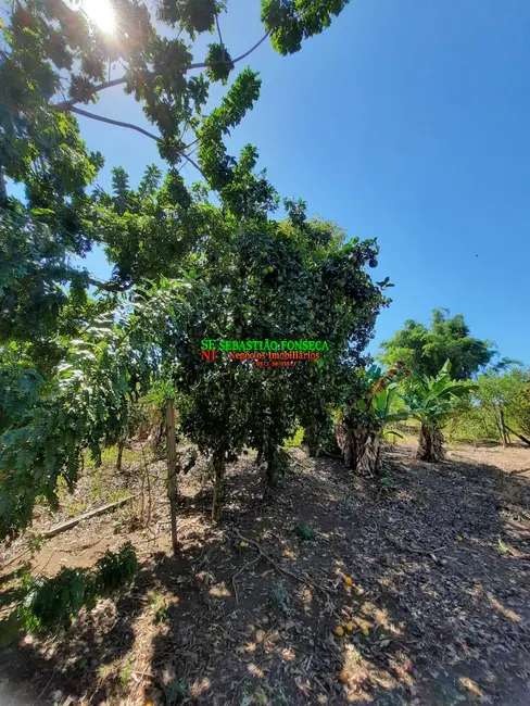 Foto 7 de Sítio / Rancho à venda, 20800m2 em Chácara Marambaia, Cacapava - SP