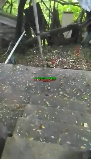 Casa com 2 quartos à venda, 17890m2 em Sao Jose Dos Campos - SP - imagem 3 Foto 3 de Casa com 2 quartos à venda, 17890m2 em Sao Jose Dos Campos - SP