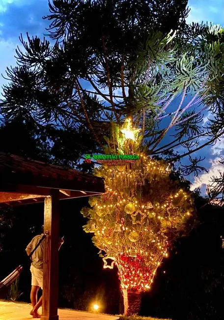 Fazenda / Haras à venda, 84m2 em Centro, Pindamonhangaba - SP - imagem 7 Foto 7 de Fazenda / Haras à venda, 84m2 em Centro, Pindamonhangaba - SP