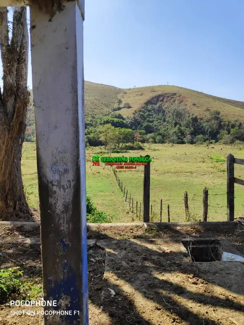 Fazenda / Haras à venda, 624m2 em Centro, Cruzeiro - SP - imagem 8 Foto 8 de Fazenda / Haras à venda, 624m2 em Centro, Cruzeiro - SP