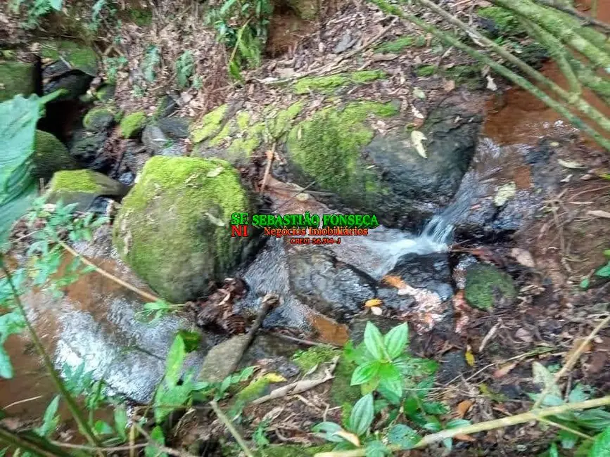 Chácara com 3 quartos à venda, 9000m2 em Sao Jose Dos Campos - SP - imagem 2 Foto 2 de Chácara com 3 quartos à venda, 9000m2 em Sao Jose Dos Campos - SP