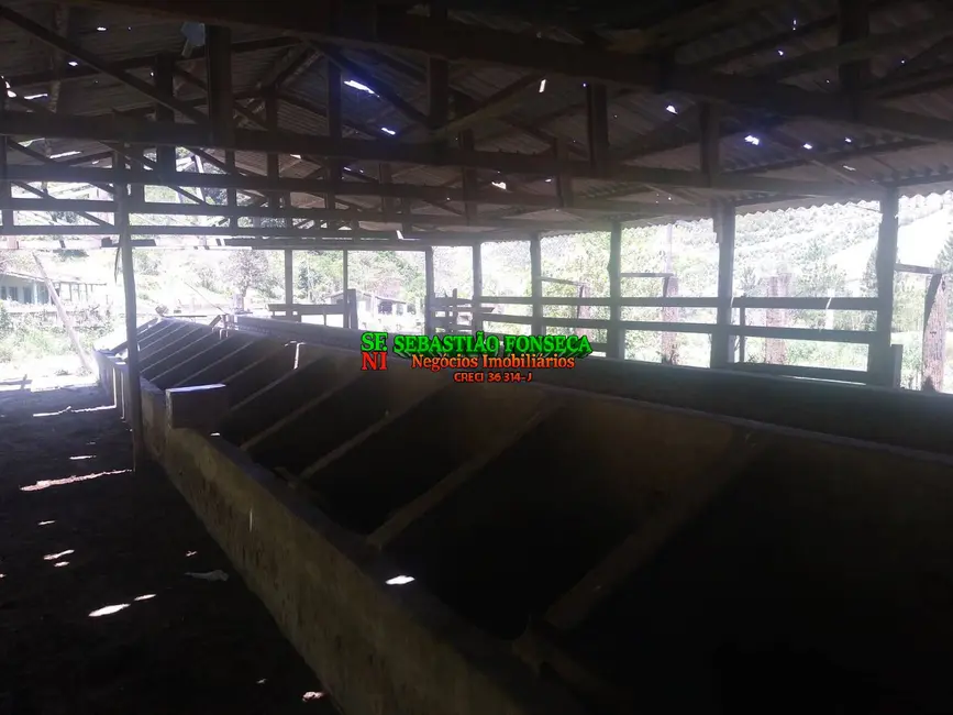 Foto 3 de Fazenda / Haras à venda, 30m2 em Centro, Paraibuna - SP