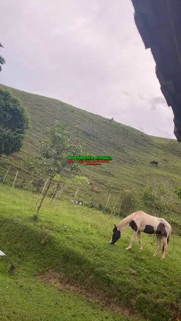 Foto 2 de Sítio / Rancho à venda em Sao Jose Dos Campos - SP