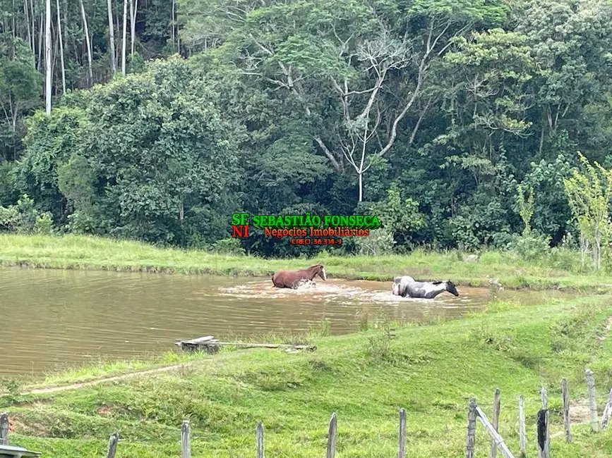Chácara à venda, 19m2 em Aparecida - SP - imagem 3 Foto 3 de Chácara à venda, 19m2 em Aparecida - SP