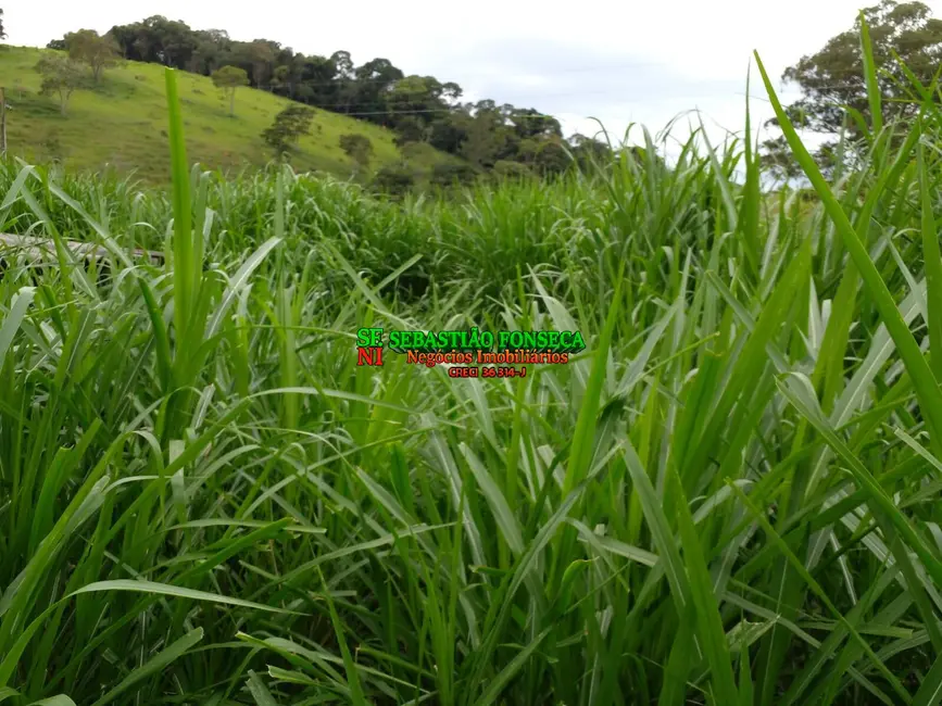 Sítio / Rancho à venda, 14m2 em Área Rural de Guaratinguetá, Guaratingueta - SP - imagem 9 Foto 9 de Sítio / Rancho à venda, 14m2 em Área Rural de Guaratinguetá, Guaratingueta - SP