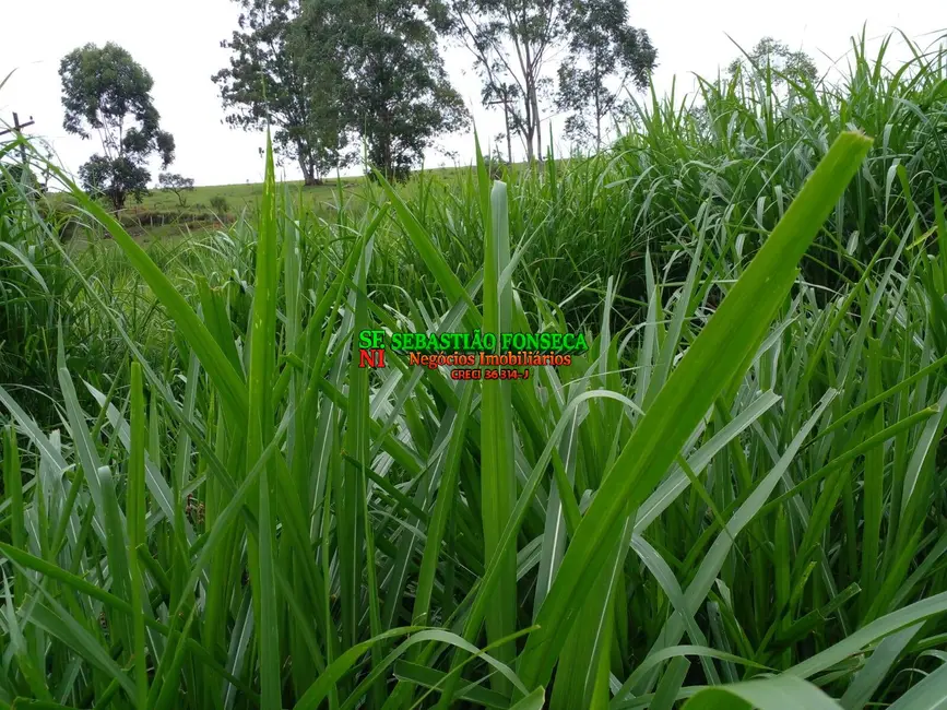 Sítio / Rancho à venda, 14m2 em Área Rural de Guaratinguetá, Guaratingueta - SP - imagem 7 Foto 7 de Sítio / Rancho à venda, 14m2 em Área Rural de Guaratinguetá, Guaratingueta - SP