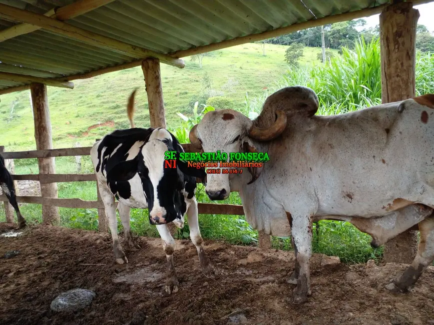 Foto 1 de Sítio / Rancho à venda, 14m2 em Área Rural de Guaratinguetá, Guaratingueta - SP