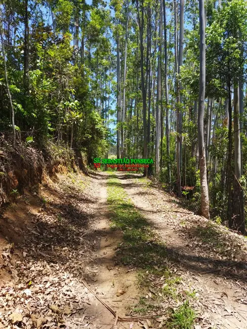 Sítio / Rancho com 3 quartos à venda em Paraibuna - SP - imagem 4 Foto 4 de Sítio / Rancho com 3 quartos à venda em Paraibuna - SP