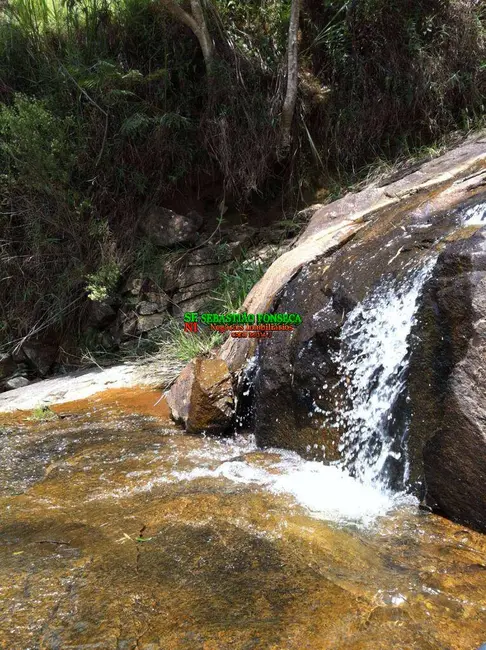 Foto 5 de Fazenda / Haras à venda, 255m2 em Centro, Silveiras - SP