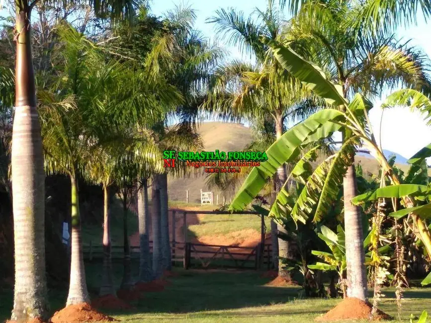 Foto 4 de Fazenda / Haras à venda, 255m2 em Centro, Silveiras - SP