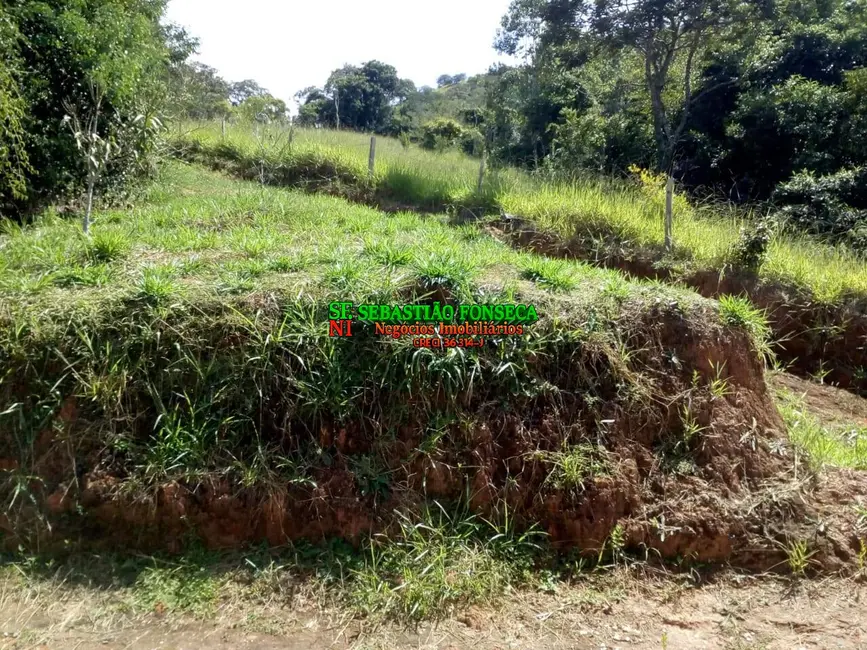 Foto 6 de Sítio / Rancho à venda, 10m2 em Centro, Lagoinha - SP